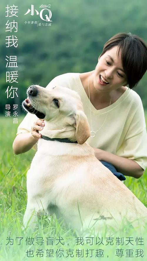 哪里能买到韩国东新大学文凭毕业证